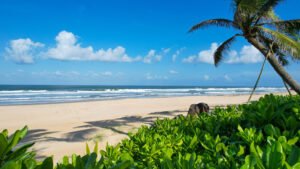 Bliss Hoian Beach Resort wellness Vietnam 5