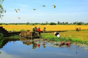 Vietnam 