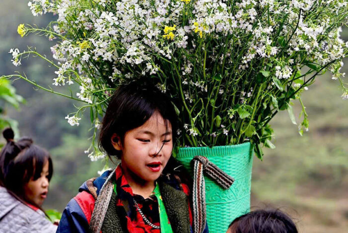 Booking Objects 26 Vietnam Trekking Spektakuläre Vietnam-Rundreise