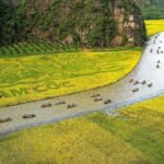 Tam Coc Ninh Binh