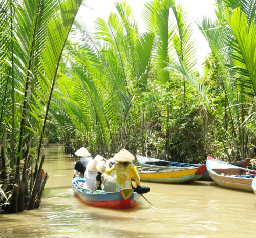 Mekong delta 2 1