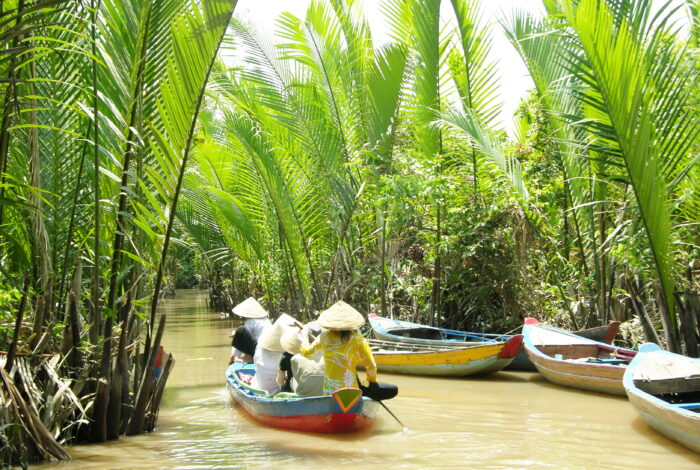 Ben Tre: Die stille Schönheit des vietnamesischen Kokosnuss-Königreichs entdecken 26 Mekong delta 2 1