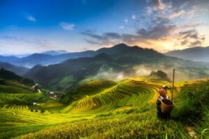 Vietnam Reisetipps – 3 unverzichtbare Dinge, die du vor deiner Reise ins Herz Südostasiens wissen solltest 19 Vietnam Reisetipps
