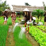 lang rau tra que hoi an Tim voi Google