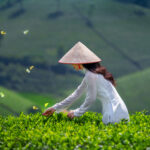 iStock 1425103310
