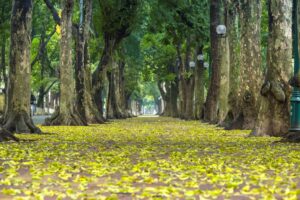 Entdecken Sie die beste Reisezeit für Hanoi 21 Phan Dinh Phung street Ha Noi