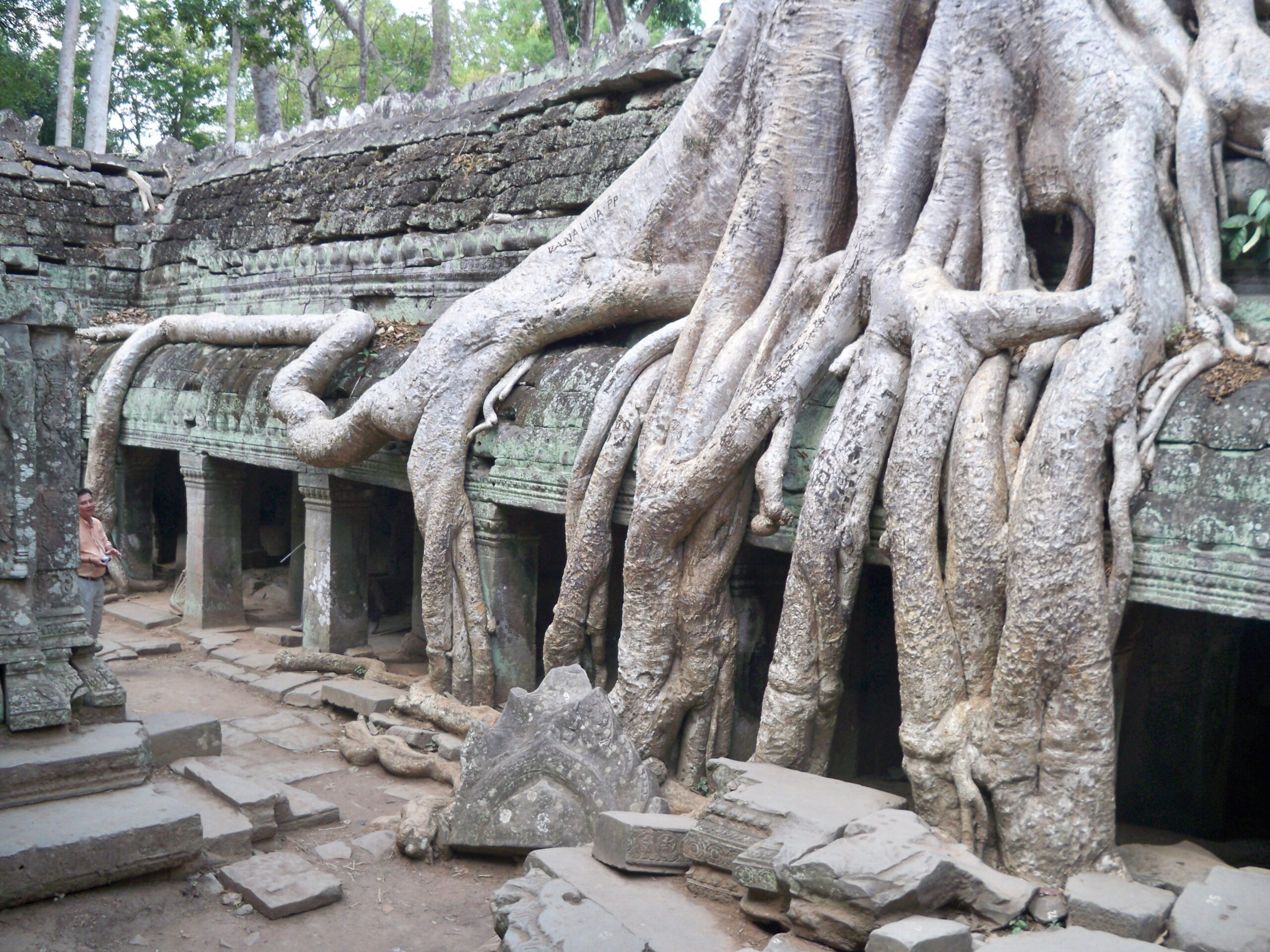 Angkor – Das ewige Herz des alten Kambodschas 24 Ta Prohm 1 scaled