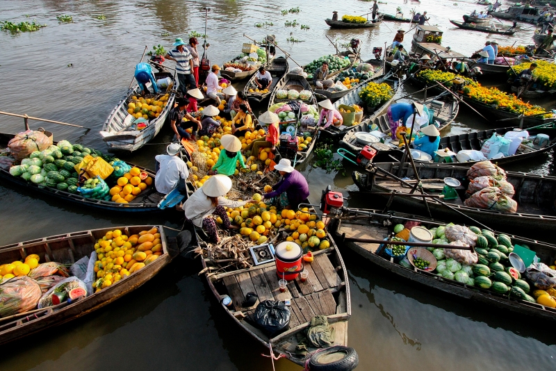 cho noi cai rang