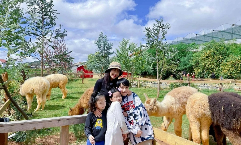 Lonely Planet: Vietnam – Das ultimative Reiseziel für unvergessliche Familienurlaube 27 da lat