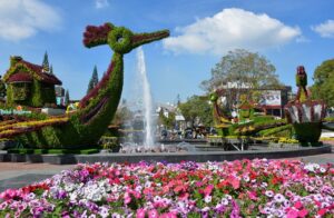 Kulinarische Highlights in Da Lat – Genuss für alle Sinne 27 Dalat Flower Festival