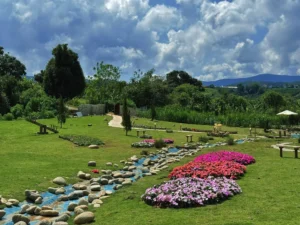 Kulinarische Highlights in Da Lat – Genuss für alle Sinne 25 du lich da lat 3
