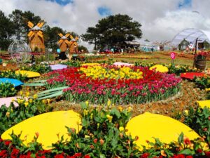 Kulinarische Highlights in Da Lat – Genuss für alle Sinne 28 Dalat Flower Festival