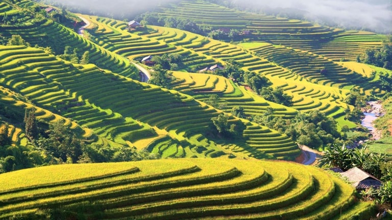 hoang su phi 2