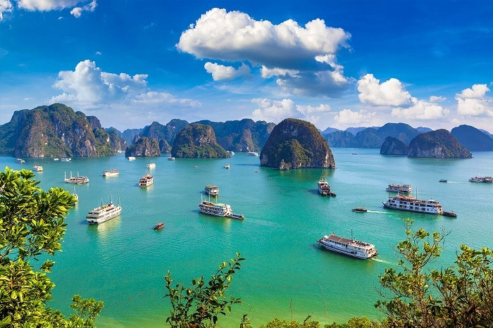 Halong Bucht – Das Naturwunder Vietnams 19 image 2
