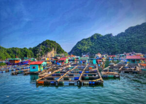 lang chai ha long 2
