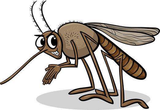 Wie kann ich mich am besten vor Mücken und tropischen Krankheiten schützen? 26 mosquito