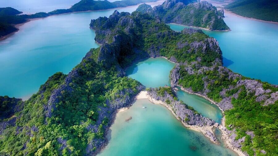 Halong Bucht – Das Naturwunder Vietnams 28 vuon quoc gia bai tu long 1 1