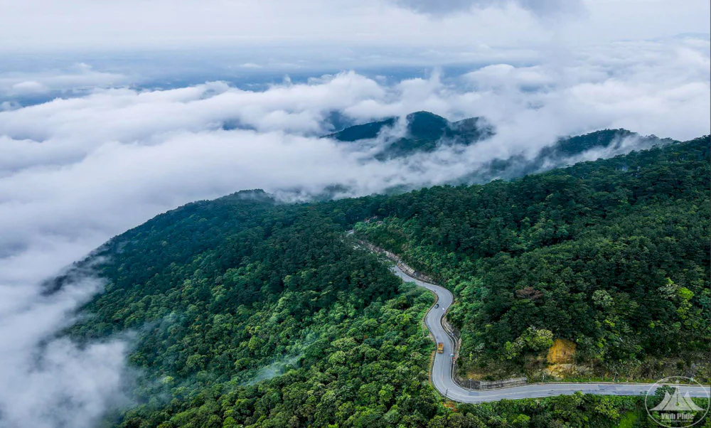 Tam Dao – Das verborgene Paradies im grünen Hochland Vietnams 19 vuon quoc gia tam dao