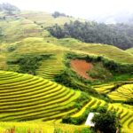 la pan tan giangnam