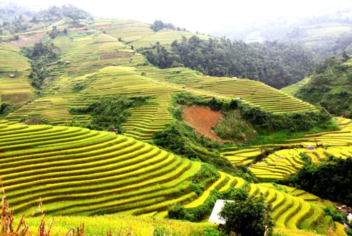 Mu Cang Chai: Vietnams goldenes Reisterrassen Paradies 18 la pan tan giangnam