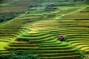 Mu Cang Chai: Vietnams goldenes Reisterrassen Paradies 20 mucangchai pacifictravel32