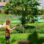 Tra Que vegetable village1