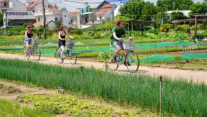 Tra Que Village – Wo Hoi An im Grünen aufatmet 20 Tra Que vegetable village7