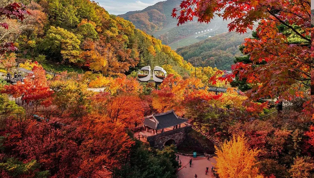 KOREA ENTDECKEN: VIER JAHRESZEITEN, LEBENDIGE KULTUR UND EINZIGARTIGE GESCHMACKSERLEBNISSE 25 1760026159