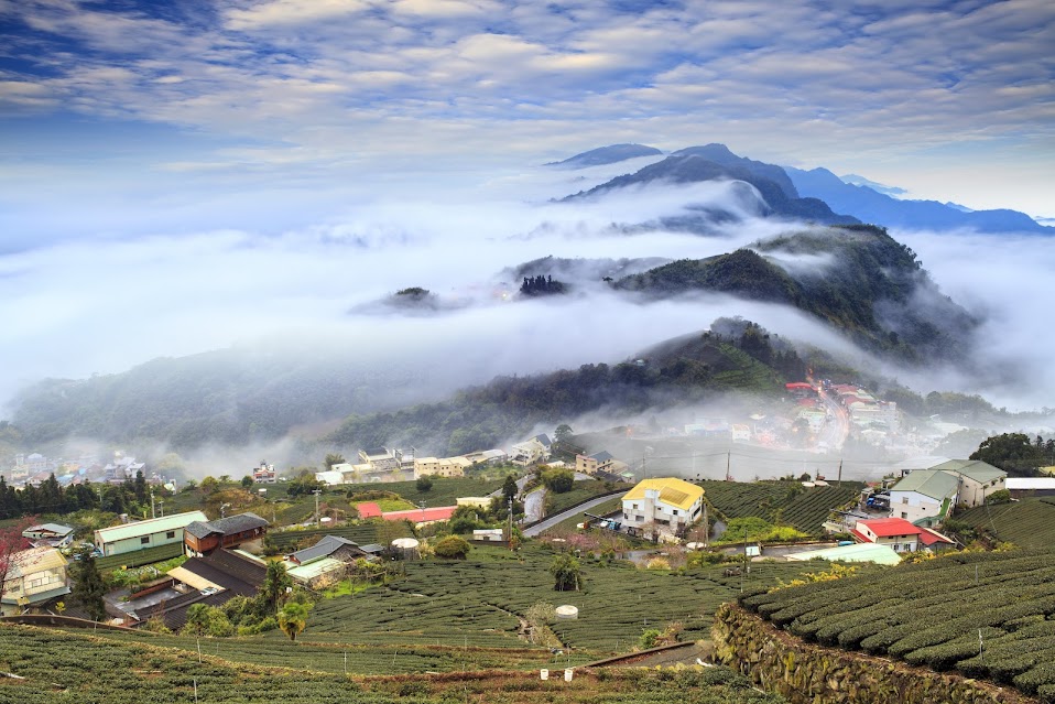 TAIWAN ENTDECKEN: RUHIGE LANDSCHAFTEN, LEBENDIGE STÄDTE UND EINZIGARTIGE GESCHMACKSERLEBNISSE 19 Alishan