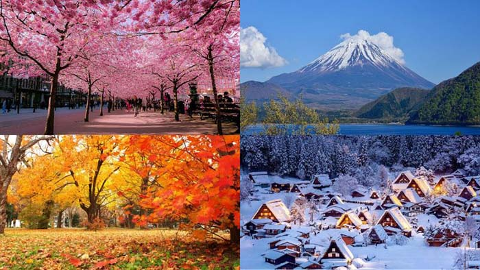 JAPAN: DIE PERFEKTE HARMONIE ZWISCHEN JAHRTAUSENDEALTER TRADITION UND MODERNE 23 Japan