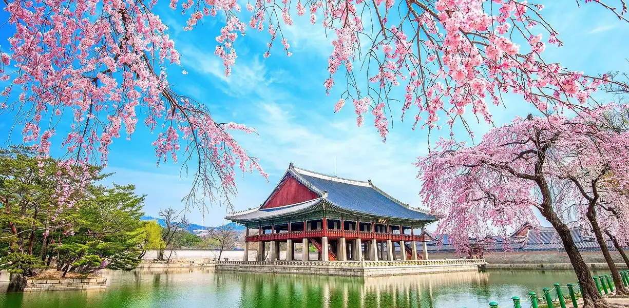 KOREA ENTDECKEN: VIER JAHRESZEITEN, LEBENDIGE KULTUR UND EINZIGARTIGE GESCHMACKSERLEBNISSE 23 khi hau han quoc