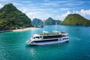 Arcady Premium cruise1
