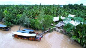 Ben Tre: Die stille Schönheit des vietnamesischen Kokosnuss-Königreichs entdecken 19 Ben Tre Vietnam: Sehenswürdigkeiten & Reisetipps