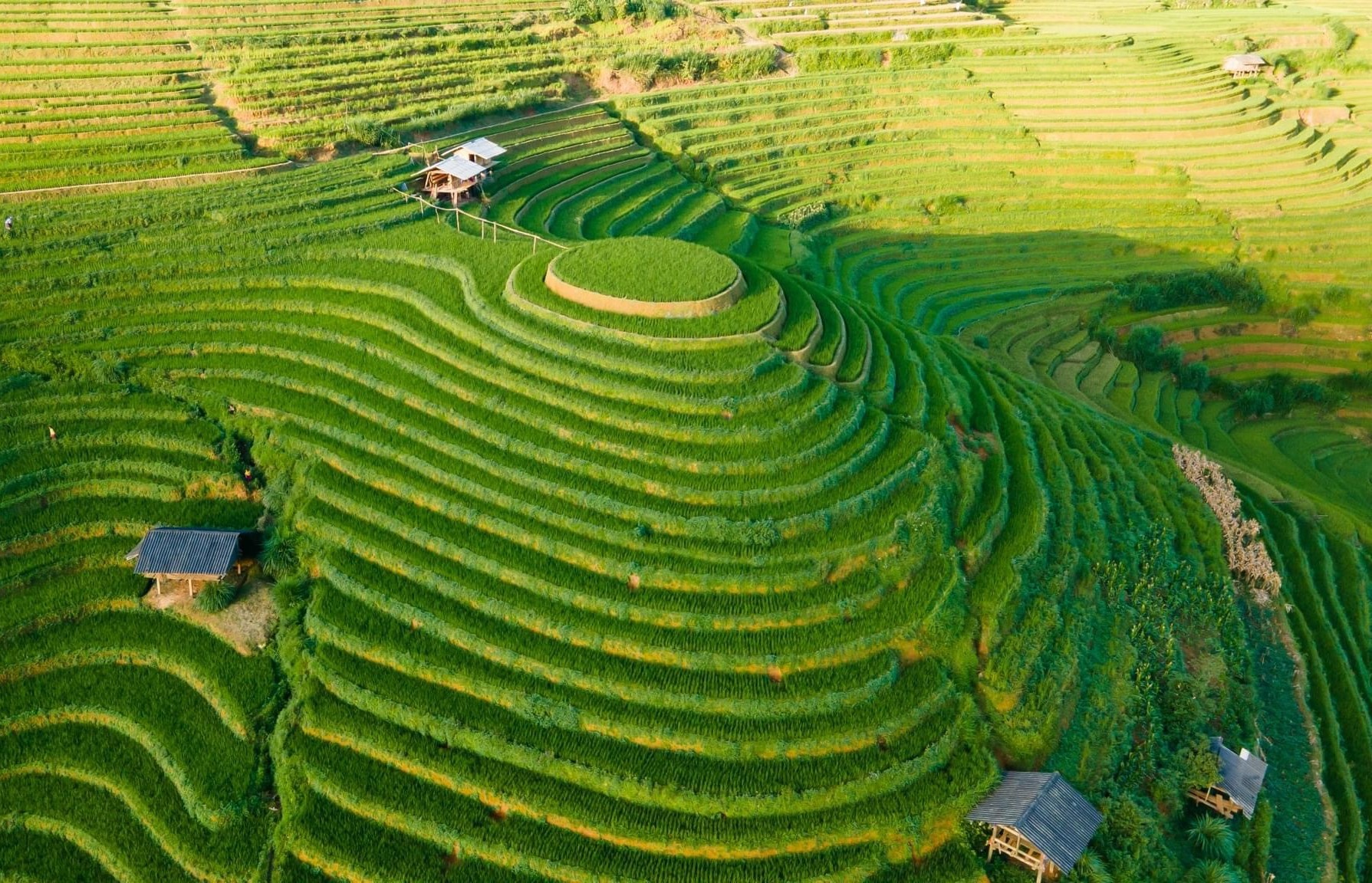 Mu Cang Chai 16 Doi Mam Xoi