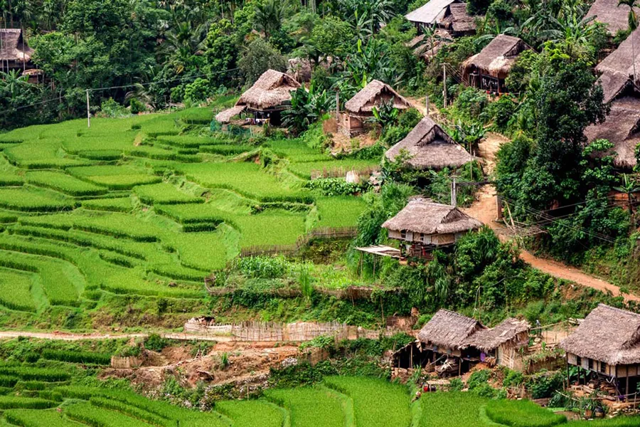 Kho Muong