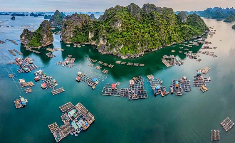 Halong Bay 20 Lang chai Ha Long