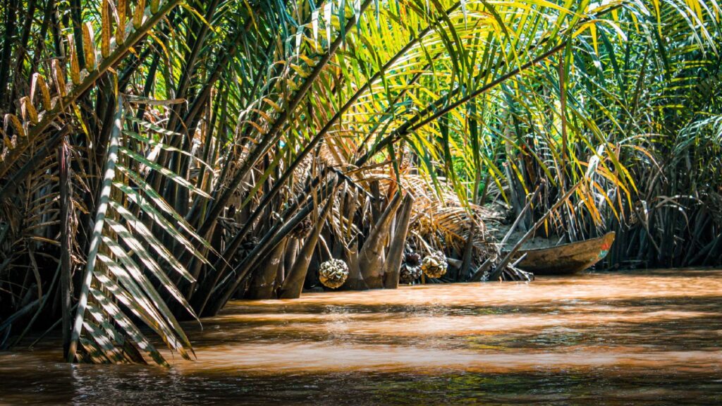 Mekong3