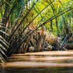 Mekong3