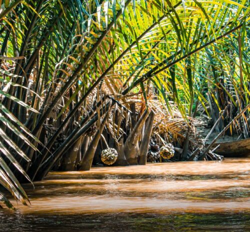 Mekong3