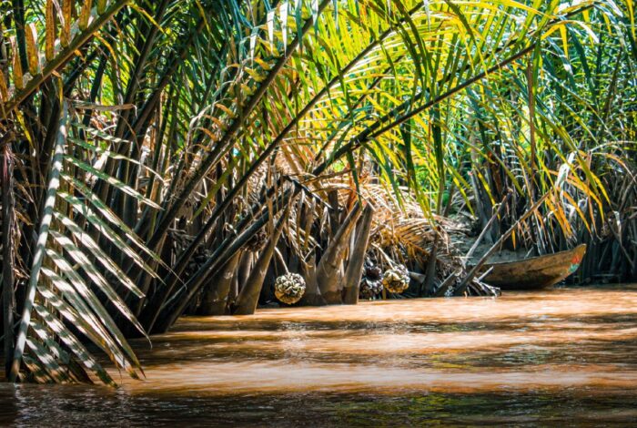 Mekong-Delta-Tagebuch: Eine tiefe Reise in das Flussleben Vietnams 50 Mekong3
