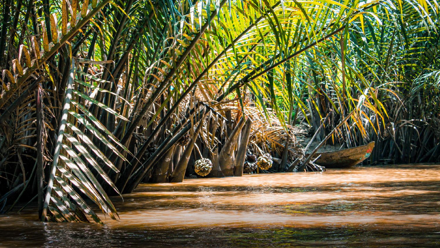 Mekong-Delta-Tagebuch: Eine tiefe Reise in das Flussleben Vietnams 18 Mekong3