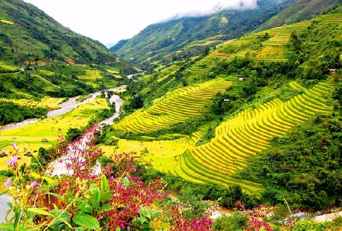 Sapa 19 Muong Hoa Tal