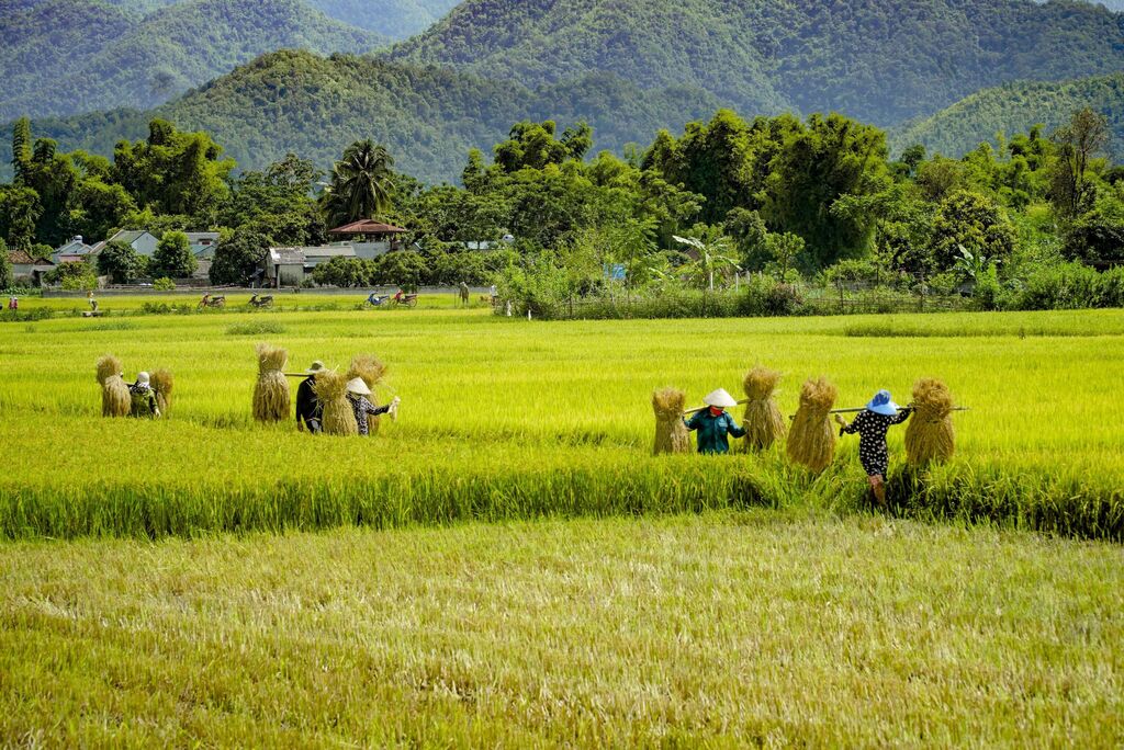 Dien Bien 18 Thung lung Muong Thanh