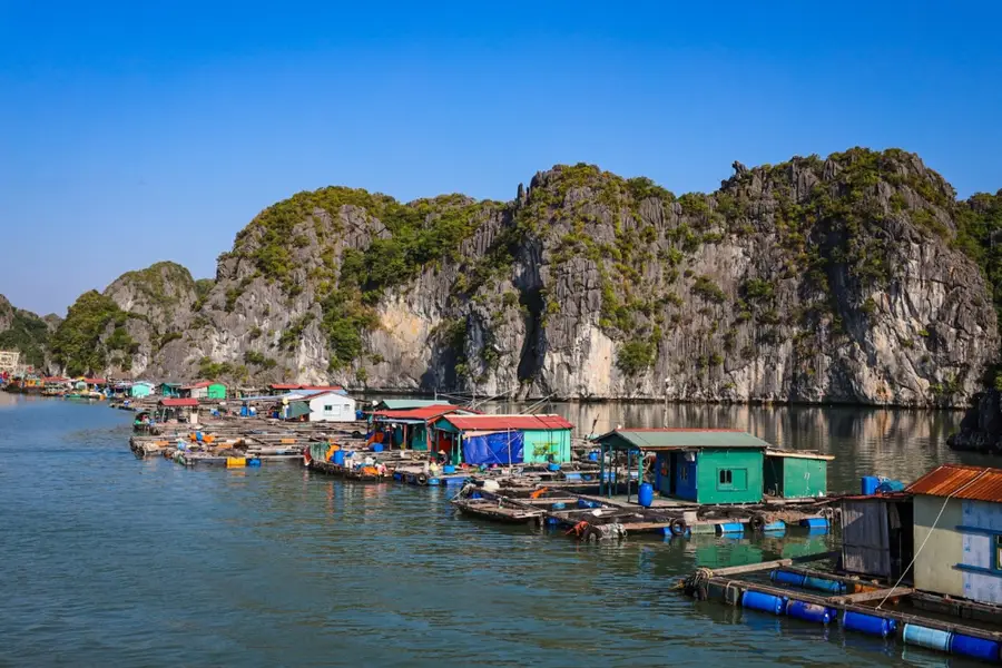 Viet Hai
