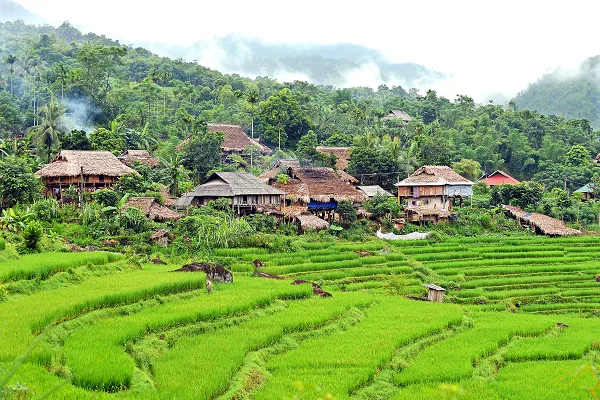 ban don pu luong thanh hoa