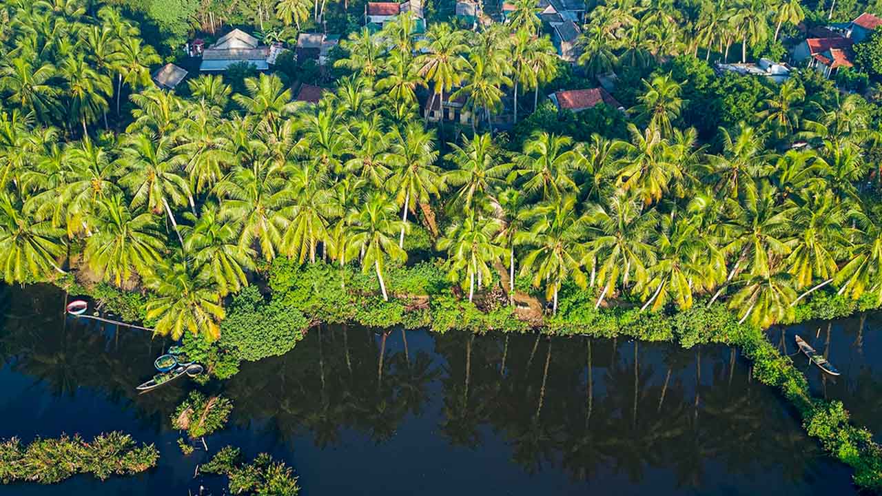 Ben Tre 15 ben tre