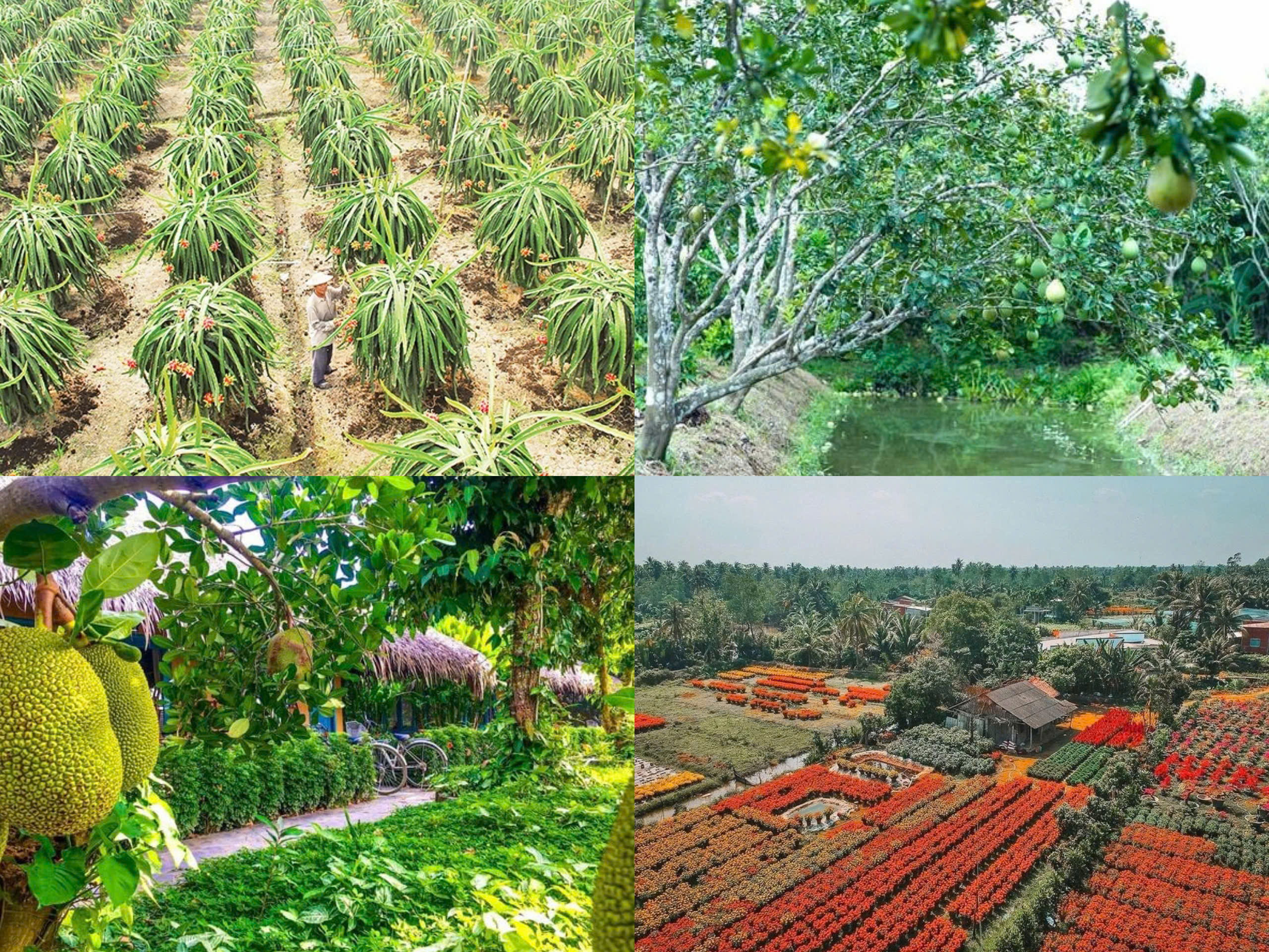 Mekong-Delta 18 604ea94b42abc3f59aba