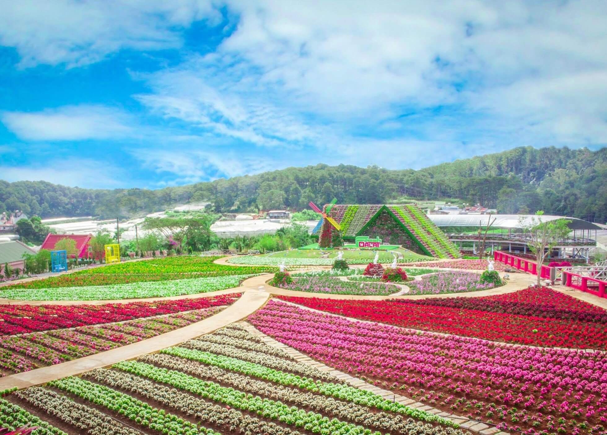 Da Lat 19 Vuon hoa Da Lat