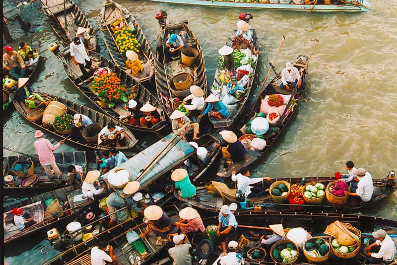 Can Tho 16 cho noi cai rang 3