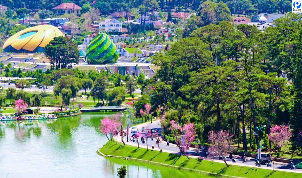 Da Lat 15 dnt da lat 1